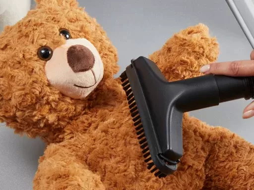 stuff toys cleaning services in Multan
